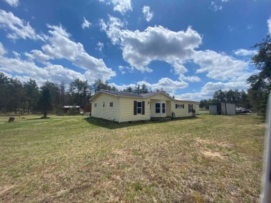 Lake Home For Sale in Mio, Michigan