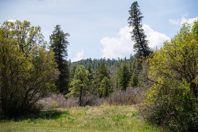 Ripple Valley Ranch is +-410 acre and is an absolutely premier - photo 22