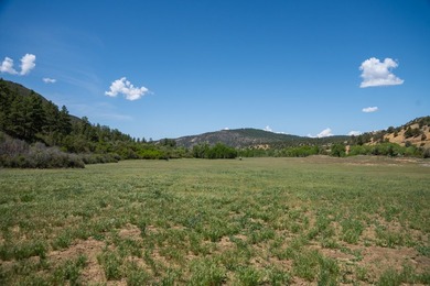 Ripple Valley Ranch is +-410 acre and is an absolutely premier - photo 23
