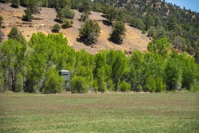 Ripple Valley Ranch is +-410 acre and is an absolutely premier - photo 24