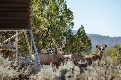 Ripple Valley Ranch is +-410 acre and is an absolutely premier - photo 25