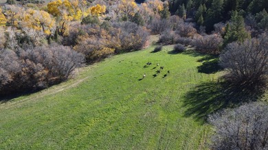 Ripple Valley Ranch is +-410 acre and is an absolutely premier - photo 26