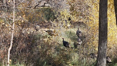 Ripple Valley Ranch is +-410 acre and is an absolutely premier - photo 27