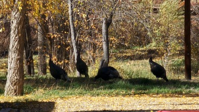 Ripple Valley Ranch is +-410 acre and is an absolutely premier - photo 28