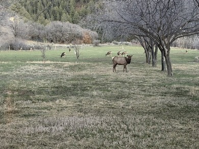 Ripple Valley Ranch is +-410 acre and is an absolutely premier - photo 29