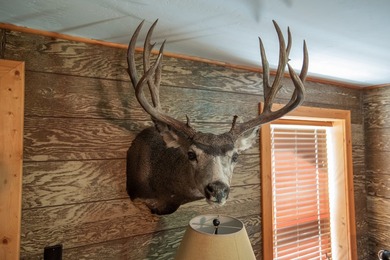 Ripple Valley Ranch is +-410 acre and is an absolutely premier - photo 30
