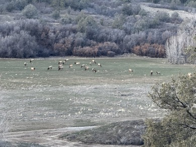 Ripple Valley Ranch is +-410 acre and is an absolutely premier - photo 32