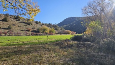 Ripple Valley Ranch is +-410 acre and is an absolutely premier - photo 34