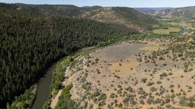 Ripple Valley Ranch is +-410 acre and is an absolutely premier - photo 36
