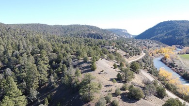 Ripple Valley Ranch is +-410 acre and is an absolutely premier - photo 38