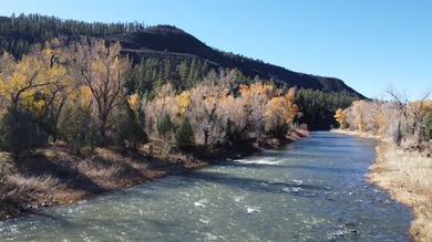 Ripple Valley Ranch is +-410 acre and is an absolutely premier - photo 42