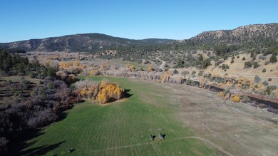 Ripple Valley Ranch is +-410 acre and is an absolutely premier - photo 43