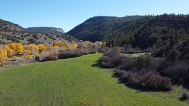 Ripple Valley Ranch is +-410 acre and is an absolutely premier - photo 45
