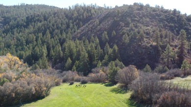 Ripple Valley Ranch is +-410 acre and is an absolutely premier - photo 46