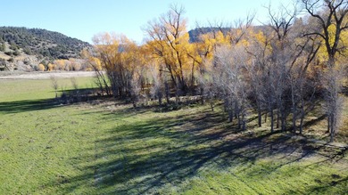 Ripple Valley Ranch is +-410 acre and is an absolutely premier - photo 47