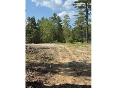 Lake Acreage For Sale in Jefferson, Maine
