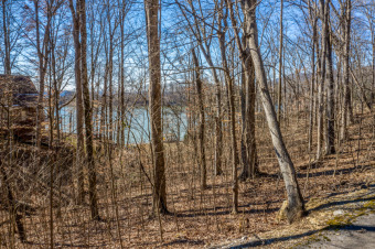Cherokee Lakefront Lot For Sale - Lake Lot For Sale in Mooresburg, Tennessee