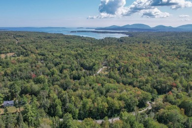 Skillings River Lot For Sale in Lamoine Maine