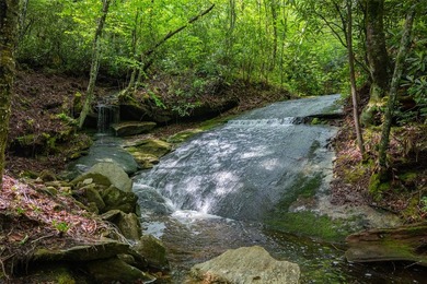 River Camp is a remarkably rare 10.65-acre mountain property - photo 11