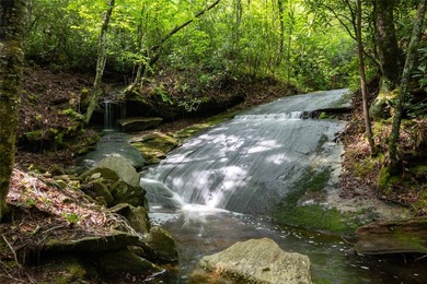 River Camp is a remarkably rare 10.65-acre mountain property - photo 12