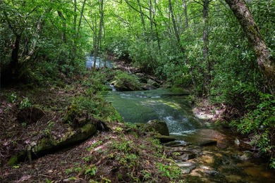 River Camp is a remarkably rare 10.65-acre mountain property - photo 13