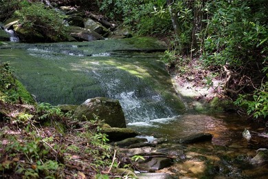 River Camp is a remarkably rare 10.65-acre mountain property - photo 14