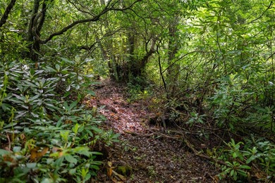 River Camp is a remarkably rare 10.65-acre mountain property - photo 15