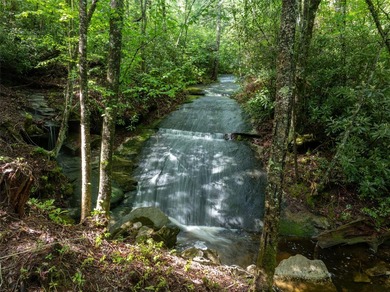 River Camp is a remarkably rare 10.65-acre mountain property - photo 16