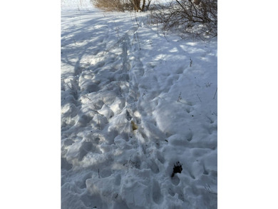 Whether looking for a building lot for your future home, a - photo 16