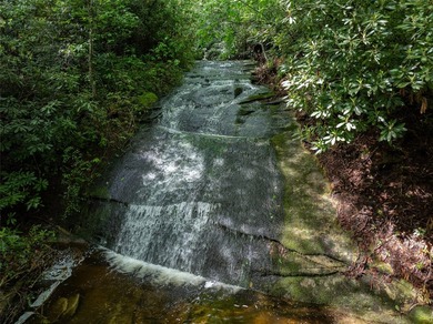 River Camp is a remarkably rare 10.65-acre mountain property - photo 18