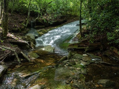 River Camp is a remarkably rare 10.65-acre mountain property - photo 19