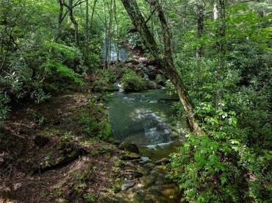 River Camp is a remarkably rare 10.65-acre mountain property - photo 20