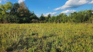 (private lake, pond, creek) Acreage For Sale in Oden Arkansas