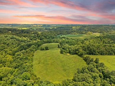 Cedar Lake Acreage For Sale in Ewing Kentucky