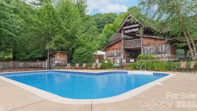 Elevated mountain living at over 4,500 feet in elevation, this - photo 44