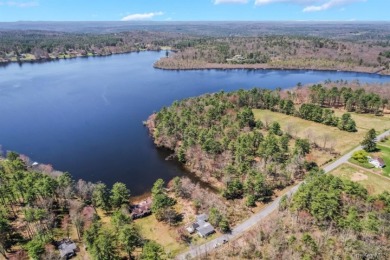 LAKEFRONT w/ Private Dock - photo 2