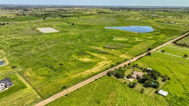 (private lake, pond, creek) Acreage For Sale in Godley Texas