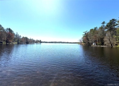 LAKEFRONT w/ Private Dock - photo 30
