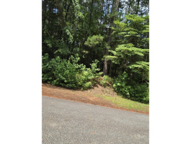 Lake Lot For Sale in Mccormick, South Carolina