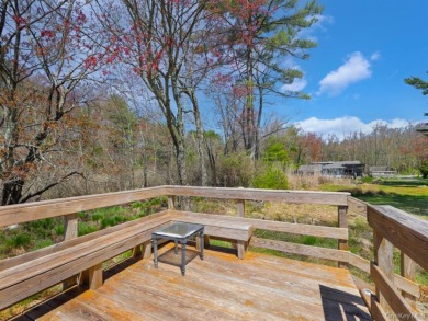LAKEFRONT w/ Private Dock - photo 26