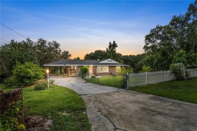 Lake Franklin  Home For Sale in Mount Dora Florida