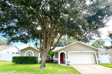 Lake Home For Sale in New Port Richey, Florida