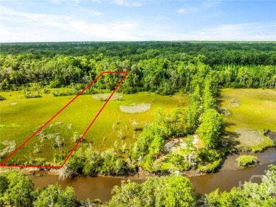 Lake Lot For Sale in Riceboro, Georgia