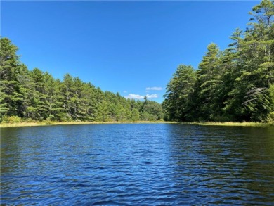 Serene 10 acres with the own lake access! Ready to build! - Lake Lot For Sale in Forestburgh, New York