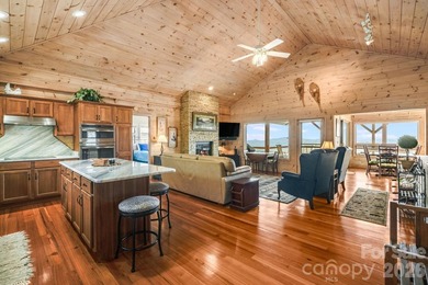 Positioned at approximately 4,800 feet within Wolf Laurel Resort - photo 11