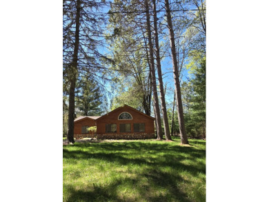Lake Home For Sale in Lincoln, Michigan