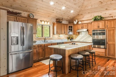 Positioned at approximately 4,800 feet within Wolf Laurel Resort - photo 13