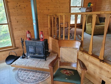 Rainy Lake. Amazingly charming 2 bedroom Keyes Island cabin on - photo 16