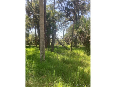  Lot For Sale in Waldo Florida