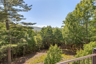 This rare Tudor-style home sits on over 2 acres in a wonderfully - photo 26